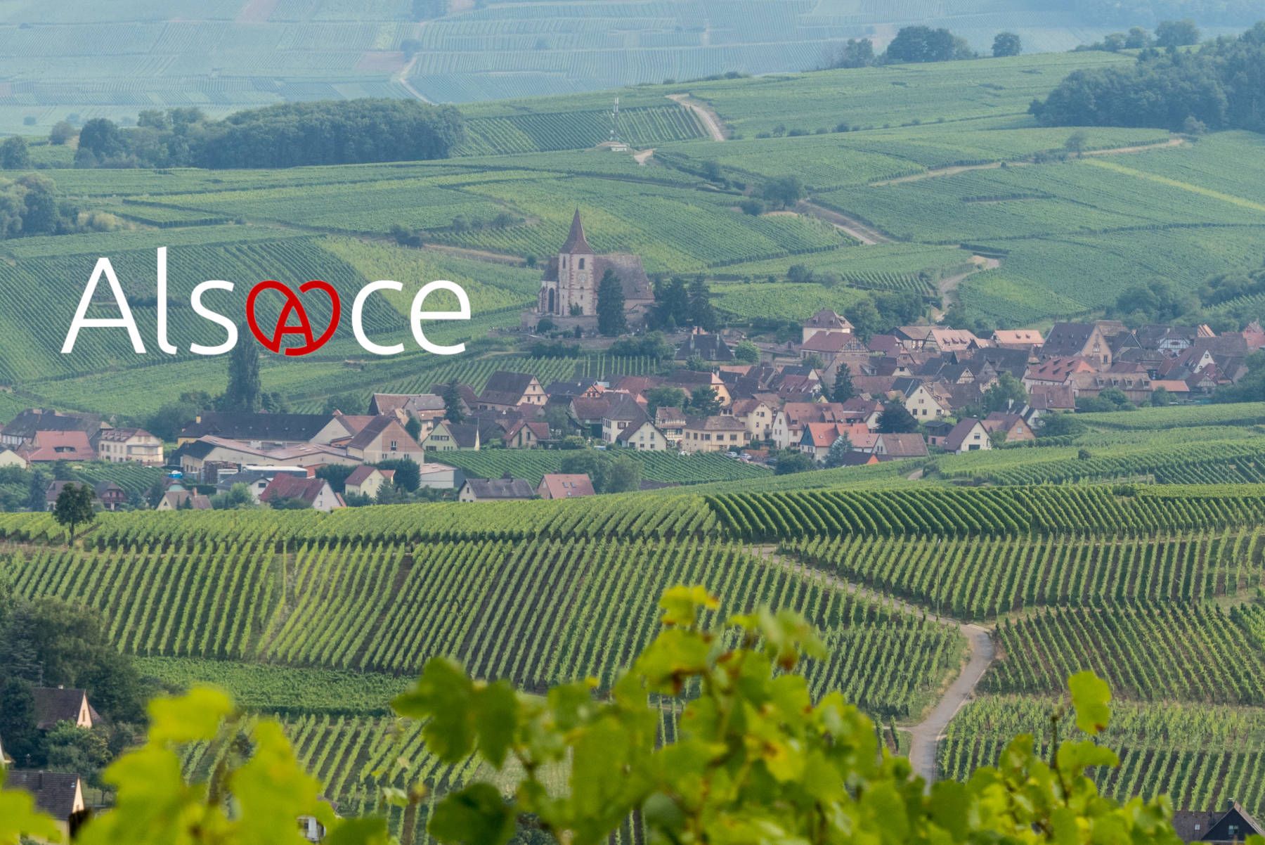 attitude digitale extension point alsace marque alsace