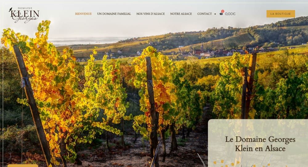 vins georges klein
