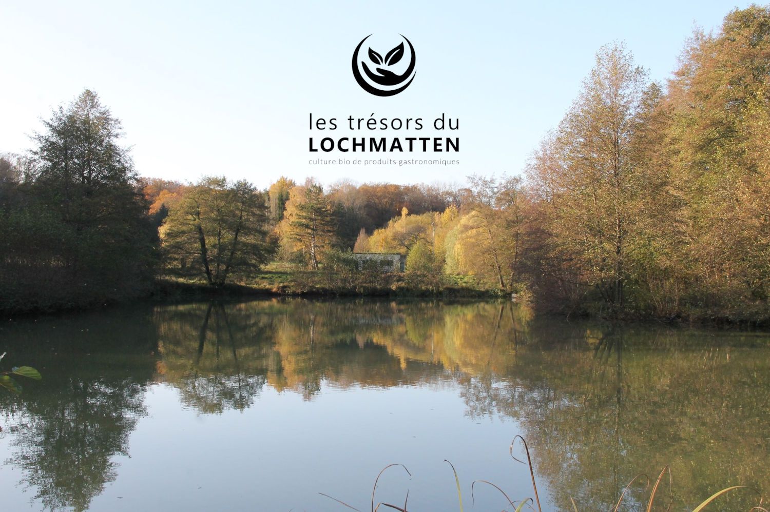 les tresors du lochmatten culture bio de produits gastronomiques alsace